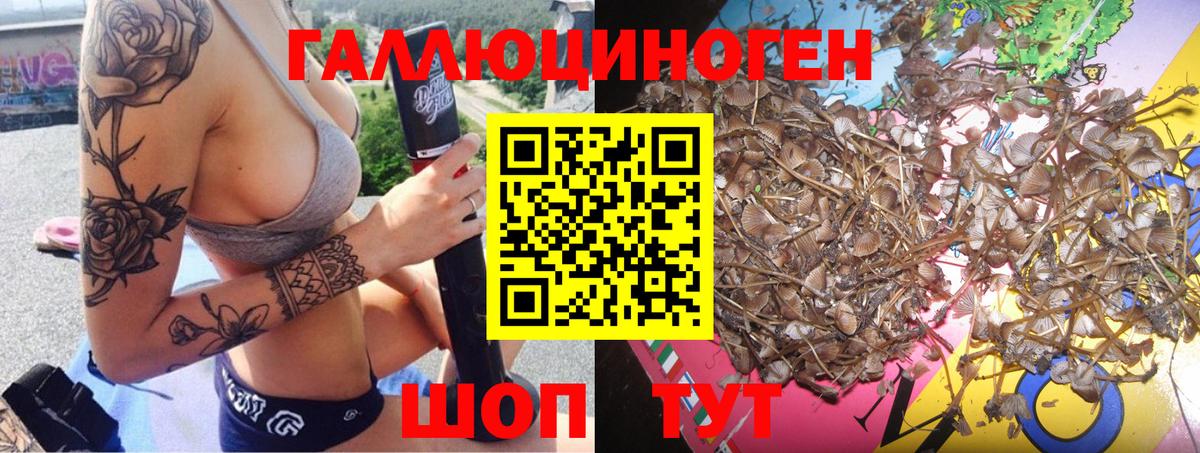 Галлюциногенные грибы Magic Shrooms  Вход с VPN  Видное 