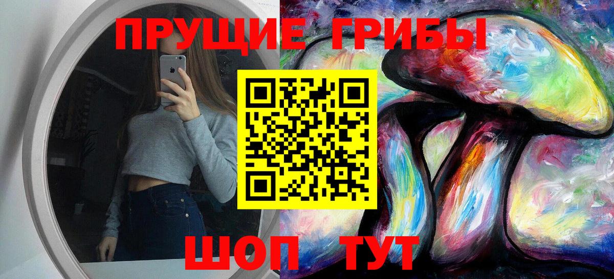 Псилоцибиновые грибы мицелий Видное